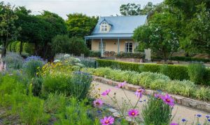 Vineyard Cottages and Cafe - Nambucca Heads Accommodation