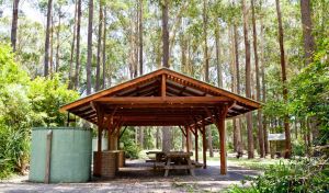 Bongil picnic area - Nambucca Heads Accommodation