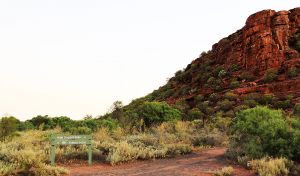 Whyalla Conservation Park - Nambucca Heads Accommodation